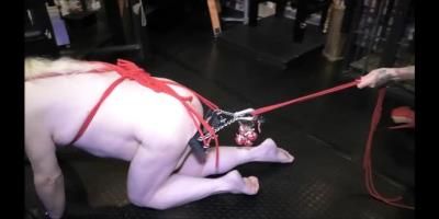 Mistress Ava Von Medisin: Rudolph The Red Balled Reindeer Part 2 and Out Takes