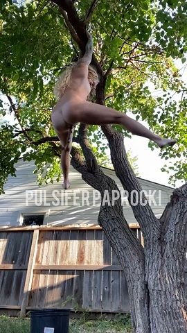 ScatShop: PulsiferPaprocki - Hanging Tree Poop