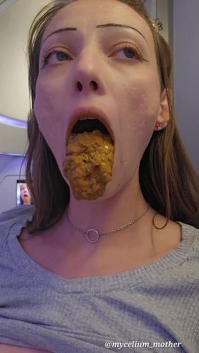 ScatShop: Mycelium_Mother - In-Flight Snack